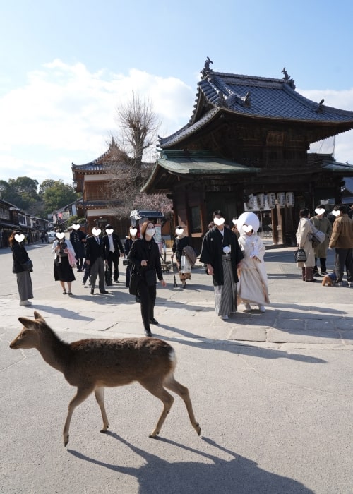 I様&Y様 厳島神社挙式・有もと