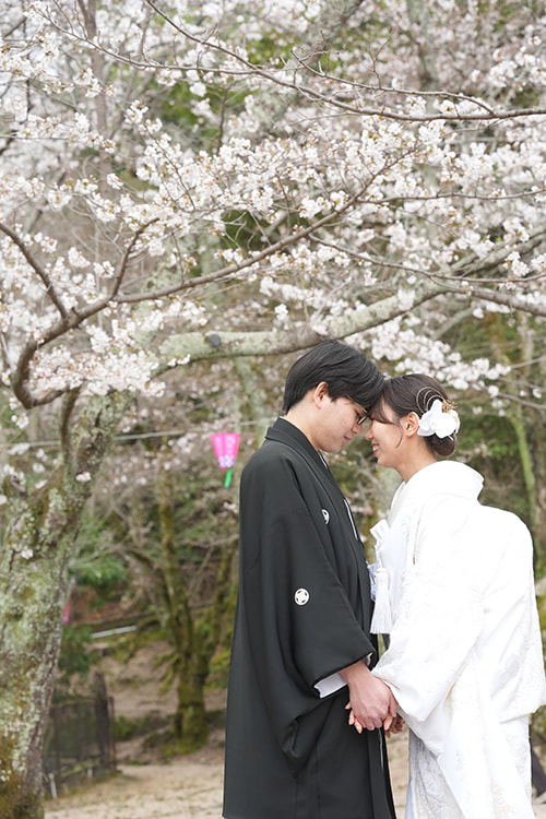 Y様S様 嚴島神社・宮島レクロ