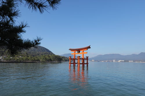 A様&K様 嚴島神社 挙式のみ